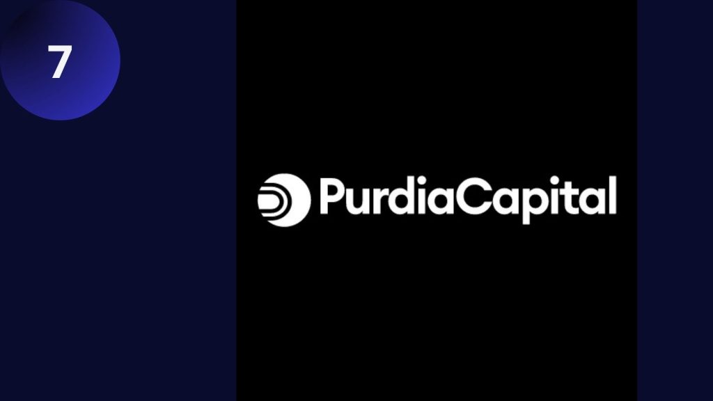 Purdia Capital recenze